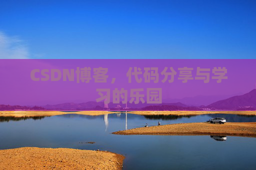 CSDN博客，代码分享与学习的乐园